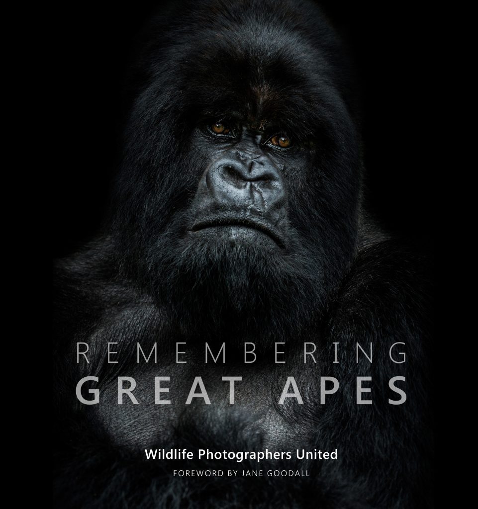 Book cover for Remembering Great Apes