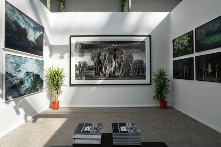 David Yarrow Bespoke Gallery Frame Installation 2020.