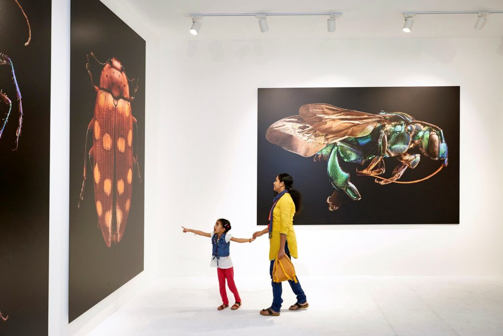 Levon Biss 'Microsculpture' at Xposure Int'l Photography Festival, UAE. Image © Levon Biss. Produced as a Direct to Media UV Print on Dibond.