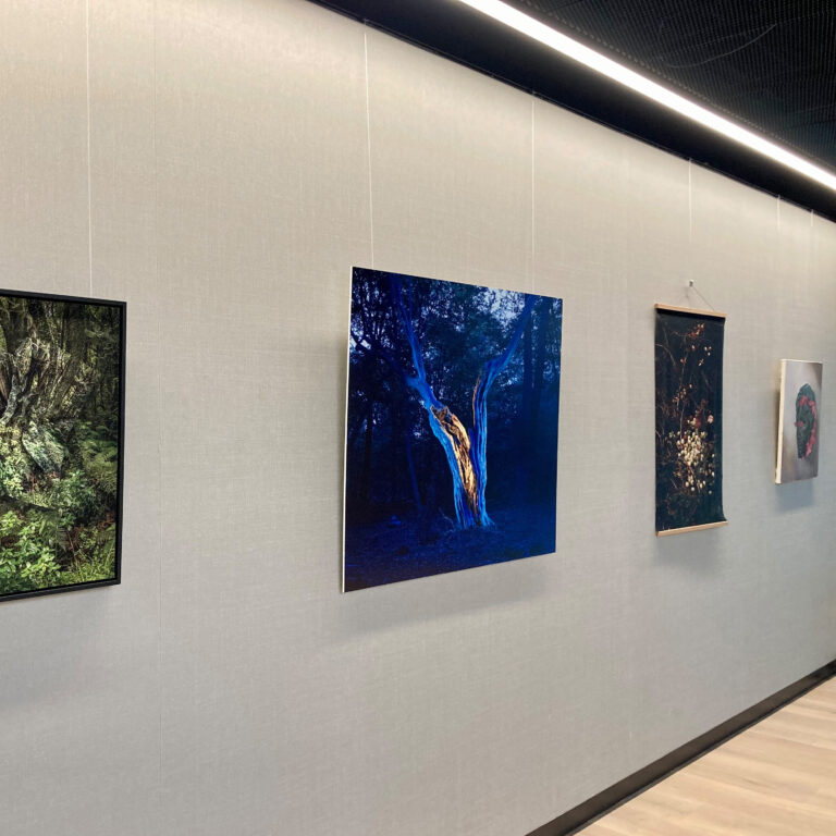 'Phoebe' from series Tartarus by Grete Hjorth-Johansen, displayed as part of the Ashurst Emerging Artists Prize exhibition 2021. Gicleé Fine Art printing and Foamex mounting by Genesis Imaging. Available on Hahnemühle and Canson archival papers.