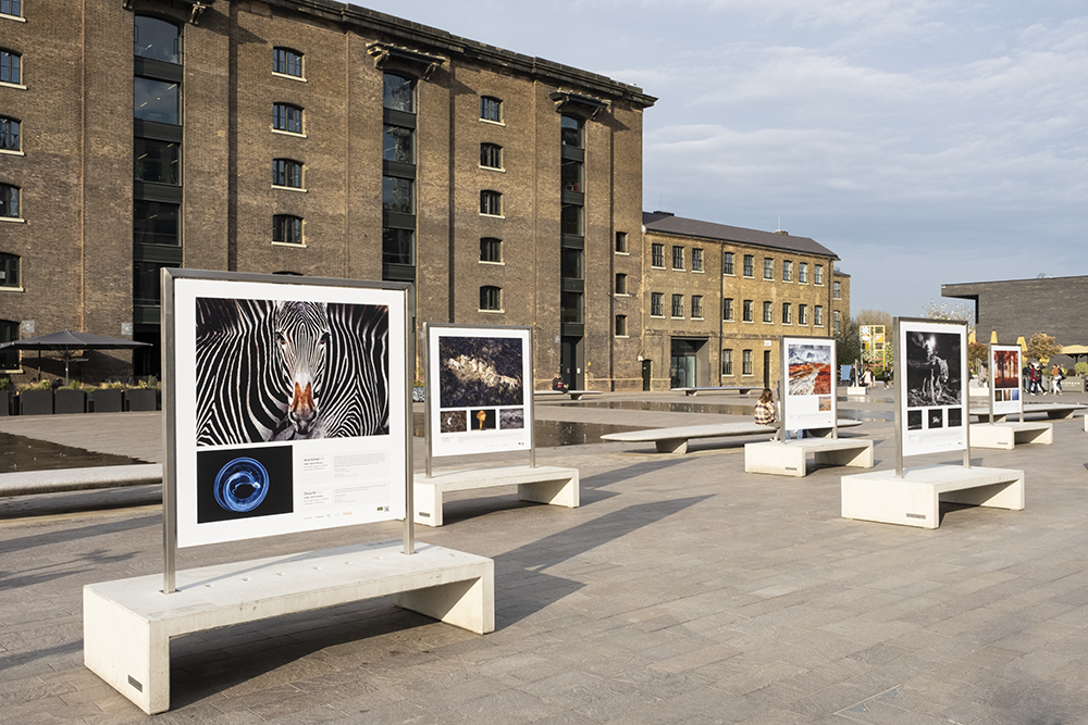 travel photographer of the year exhibition